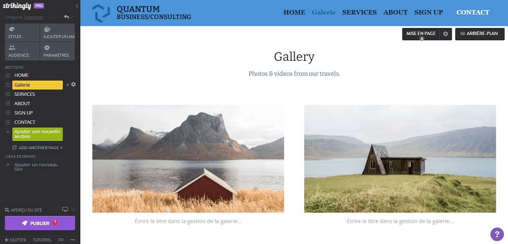 null Galerie Strikingly